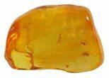 Two Fossil Spiders (Aranea) In Baltic Amber #45141-2